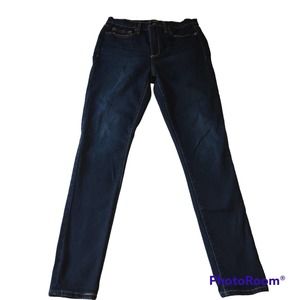 Gap Denim True Skinny Size 29R Dark Wash High Rise Stretch Jeans